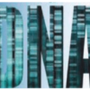 MV DNA SIG Meeting