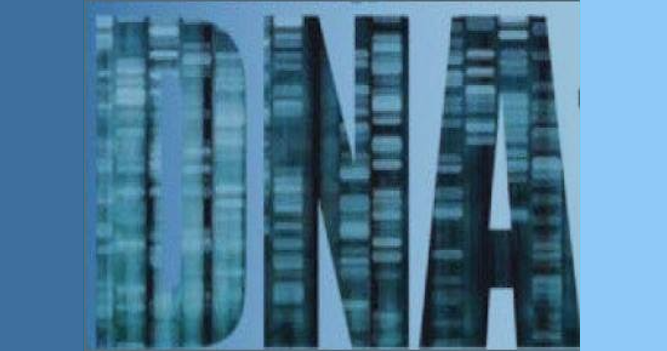 DNA SIG: Brickwall Workshop, Discussion, and Roundtable