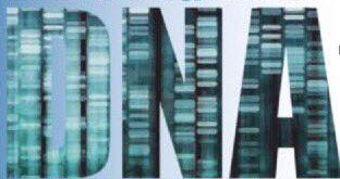 More with the DNA  DOE Project of MASSACHUSETTS
