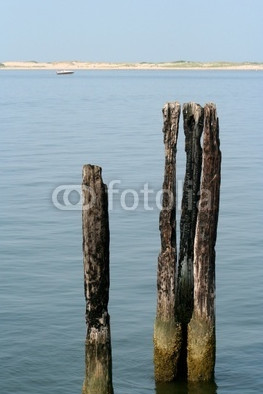 Old pilings in the water